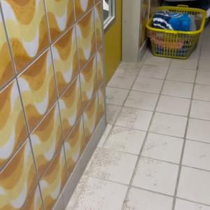 &bdquo;Pepper&ldquo; 💚

Wenn er wei&szlig;, dass seine vertrauten Menschen im Katzengang sind und er geschmust werden m&ouml;chte. 🥰

#malecat #cutie #schmusebacke #tierheimelisabethenhof #bundgegenmissbrauchdertiere