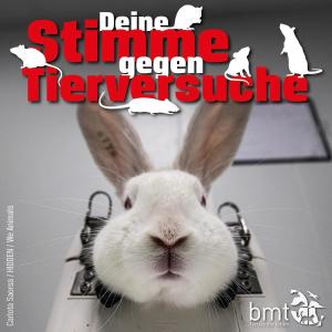 Jetzt mitmachen: Eure Stimme gegen Tierversuche

J&auml;hrlich werden Millionen Tiere im Tierversuch verwendet, doch ihr immenses Leid ger&auml;t f&uuml;r die aktuelle Bundesregierung aus dem Blick. In einem offenen Brief appelliert der bmt e.V. an Bundesminister Alois Rainer, der Verantwortung diesen Tiere gegen&uuml;ber gerecht zu werden und den Ausstieg aus dem Tierversuch sp&uuml;rbar einzuleiten. So m&uuml;ssen zum Beispiel Tierversuche an Primaten ebenso wie schwerstbelastende Tierversuche umgehend gestoppt und die F&ouml;rdergelder f&uuml;r tierversuchsfreie Verfahren massiv erh&ouml;ht werden. Gebt den Tieren Eure Stimme und unterst&uuml;tzt die Forderung nach einem Ende der &Auml;ra der Tierversuche. Einfach Brief herunterladen, unterschreiben und per E-Mail oder postalisch an das Bundesministerium f&uuml;r Landwirtschaft, Ern&auml;hrung und Heimat senden!

https://bmt-tierschutz.bmtev.de/aktuelles_stimme_gegen_tierversuche