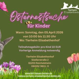 Bei unserer traditionellen Osternestsuche bei uns im Tierheim am Ostersonntag sind noch Pl&auml;tze frei. 😊

Gegen eine Teilnahmegeb&uuml;hr von 10 &euro; k&ouml;nnen die Kinder mehrere Verstecke finden. Es warten kleine Geschenke, &Uuml;berraschungen und sicherlich auch etwas S&uuml;&szlig;es auf sie.

F&uuml;r unsere kleinen und gro&szlig;en G&auml;ste stellen wir auch ein paar Snacks, s&uuml;&szlig; sowie herzhaft, und Getr&auml;nke, hei&szlig; sowie kalt, bereit.

Die Anmeldung kann per E-Mail an th-elisabethenhof@bmt-tierschutz.de oder telefonisch unter 06035 96110 erfolgen.

Wir freuen uns auf Euch!

#osternestsuche #tierheimelisabethenhof #bmthessen #tierschutzverein #bundgegenmissbrauchdertiere