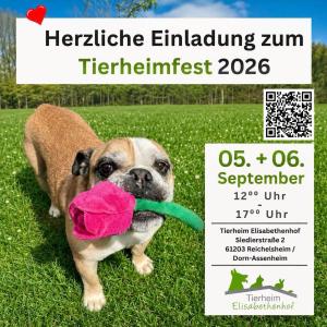 Unser Fest r&uuml;ckt immer n&auml;her, also blo&szlig; nicht vergessen, Euren Kalender zu aktualisieren. 😊

#tierheimfest #savethedate #wirfreuenunsaufeuch❤️ #tierheimelisabethenhof #bundgegenmissbrauchdertiere