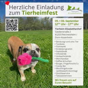 Guten Morgen 😃 

Wer&lsquo;s gestern nicht geschafft haben sollte:
Heute ist auch noch ein Tag. 😊

#tierheimfest #kommtvorbei #tierheimelisabethenhof #wirfreuenunsaufeuch #reichelsheimwetterau