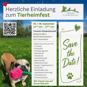 Mac l&auml;dt zur wichtigsten Veranstaltung des Jahres 😉
Save the Date!

#tierheimfest #savethedate #veranstaltung #tierheimelisabethenhof #bundgegenmissbrauchdertiere
