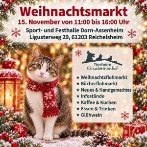 Wir wissen, dass man alles denkt, wenn man noch drau&szlig;en im T-Shirt durch die Gegend l&auml;uft, nur nicht an Weihnachten. Wir ja auch nicht. Aber wir denken schon an unseren Weihnachtsmarkt, der n&auml;chsten Monat stattfindet, und m&ouml;chten Euch herzlich dazu einladen. Merkt Euch den Termin schon mal vor. 😊 Auch unsere lieben Kuchenspender sind einmal mehr gefragt. Wollt Ihr unseren Markt mit Euren pflanzlichen K&ouml;stlichkeiten versorgen? Ihr wisst ja, ohne Euch und Eure s&uuml;&szlig;en Gaben, w&auml;ren unsere Veranstaltungen nicht, was sie sind. 🫶🏼

#weihnachtsmarkt #tierheimelisabethenhof #tierschutz #safethedate #bundgegenmissbrauchdertiere
