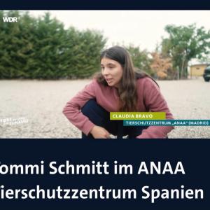 Schaut mal, in der ARD Mediathek findet Ihr einen 20min&uuml;tigen Beitrag &uuml;ber unseren befreundeten Verein @asociacion_anaa . Den Link dazu setzen wir Euch in unsere Story und auch nochmal zum Kopieren unten in den Text. Claudia und Irene erz&auml;hlen von der Arbeit des Vereins, es wird noch ein anderes Tierheim gezeigt, dem es leider an Personal fehlt, und einiges mehr. 
Schaut doch mal rein. Der Beitrag bringt einem wom&ouml;glich n&auml;her, was bisher fern schien. 😊

https://www.ardmediathek.de/video/tiere-suchen-ein-zuhause/tommi-schmitt-im-anaa-tierschutzzentrum-spanien/wdr/Y3JpZDovL3dkci5kZS9CZWl0cmFnLXNvcGhvcmEtNjEwNzU0MzMtZWViMC00ZWYwLWFkYWUtNjIyODIyMjM5MTZl

#tierschutz #anaa #tierheim #spanien #tierschutzverein