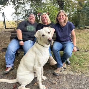 Diese Woche war unser Tierheim Veranstaltungsort eines Tasso-Seminars f&uuml;r Tierheim-MitarbeiterInnen zum Thema &bdquo;Aggressionsverhalten bei Hunden&ldquo;. 

Frauke Loup, die das Seminar abhielt, und Silke Giesing von der Hundeakademie Perdita L&uuml;bbe waren gemeinsam mit einigen engagierten TierpflegerInnen vier Tage bei uns zu Gast. Weitere Tierheime kamen zu Besuch, um im Rahmen des Seminars ein paar ihrer Hunde einsch&auml;tzen zu lassen. 

Am letzten Tag, also heute, gingen wir zusammen einer gemeinsamen Leidenschaft nach: Hunde vergesellschaften. 😍 Tr&auml;umchen. Besser als jeder Film. Wenn wir k&ouml;nnten, w&uuml;rden wir wahrscheinlich den ganzen Tag nur Hunden zusehen dabei, wie sie kommunizieren und interagieren. 

Sch&ouml;n, dass Ihr alle da wart. Schade, dass Ihr nun wieder weg seid. Gewiss ist jedoch, dass wir mindestens Frauke und Silke wiedersehen werden, denn die Verbindung zwischen unserem Tierheim und der @hundeakademie_perdita_luebbe besteht nun seit mittlerweile &uuml;ber zwanzig Jahren. 
Also, wir m&ouml;gen ja Leben in der Bude, kommt bald zur&uuml;ck! 🫶🏼

Auf dem Bild von links nach rechts: Silke Giesing @giesing.silke , Nina Pfannkoch (Elsbethhof) und Frauke Loup - mit Simba, der sich heute viele Notizen dar&uuml;ber gemacht hat, wie die Elisabthenhof-H&uuml;ndinnen so ticken. 🫣😇