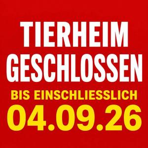 Moin. Wegen des Aufbaus unseres gro&szlig;en Tierheimfestes am 05. und 06. September bleibt unser Tierheim diese Woche bis einschlie&szlig;lich Freitag geschlossen. Mails werden gecheckt, der AB abgeh&ouml;rt und zu den Telefonzeiten werden wir Anrufe entgegen nehmen, so gut es eben klappt. Ggf k&ouml;nnen wir Termine anbieten. Einfach nachfragen, mehr als Nein sagen k&ouml;nnen wir nicht. 😉
Wir sehen uns am Wochenende. Wir freuen uns schon sehr auf Euch! 💚

#tierheimfest #vorbereitungen #tierheimelisabethenhof #bundgegenmissbrauchdertiere