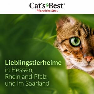 BITTE STIMMT F&Uuml;R UNS AB! 🐾

Wir sind bei der Cat&rsquo;s Best Aktion &bdquo;Lieblingstierheime&ldquo; f&uuml;r Tierheime in Hessen, Rheinland-Pfalz und dem Saarland dabei! 💚

Jetzt brauchen wir eure Unterst&uuml;tzung: Die drei Tierheime mit den meisten Stimmen d&uuml;rfen sich &uuml;ber Cat&rsquo;s Best Original im Wert von jeweils 2.500 &euro; freuen &ndash; eine riesige Unterst&uuml;tzung f&uuml;r unsere Sch&uuml;tzlinge!

Ihr k&ouml;nnt bis zum 30.10.2026 f&uuml;r unser Tierheim abstimmen. Jede einzelne Stimme z&auml;hlt! 

Den Link zur Abstimmung findet ihr in unserer Story. Damit ihr ihn jederzeit wiederfindet, erstellen wir au&szlig;erdem ein Highlight mit dem Namen &bdquo;Cats Best Aktion&ldquo;. 

Also: Abstimmen, Beitrag teilen und weitersagen! Je mehr Menschen von der Aktion erfahren, desto gr&ouml;&szlig;er ist unsere Chance. 💚

Vielen Dank f&uuml;r jede einzelne Stimme und eure Unterst&uuml;tzung! 🫶

#catsbest #aktion #tierheimelisabethenhof #tierschutzverein #bundgegenmissbrauchdertiere